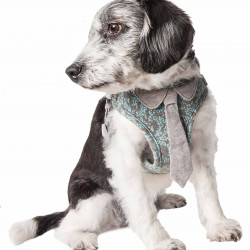 Pet Life  'fidomite' Mesh Reversible And Breathable Adjustable Dog Harness W/ Designer Neck Tie