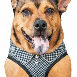 Pet Life  'checkerwag' Checkered Buttoned Mesh Reversible And Breathable Adjustable Dog Harness